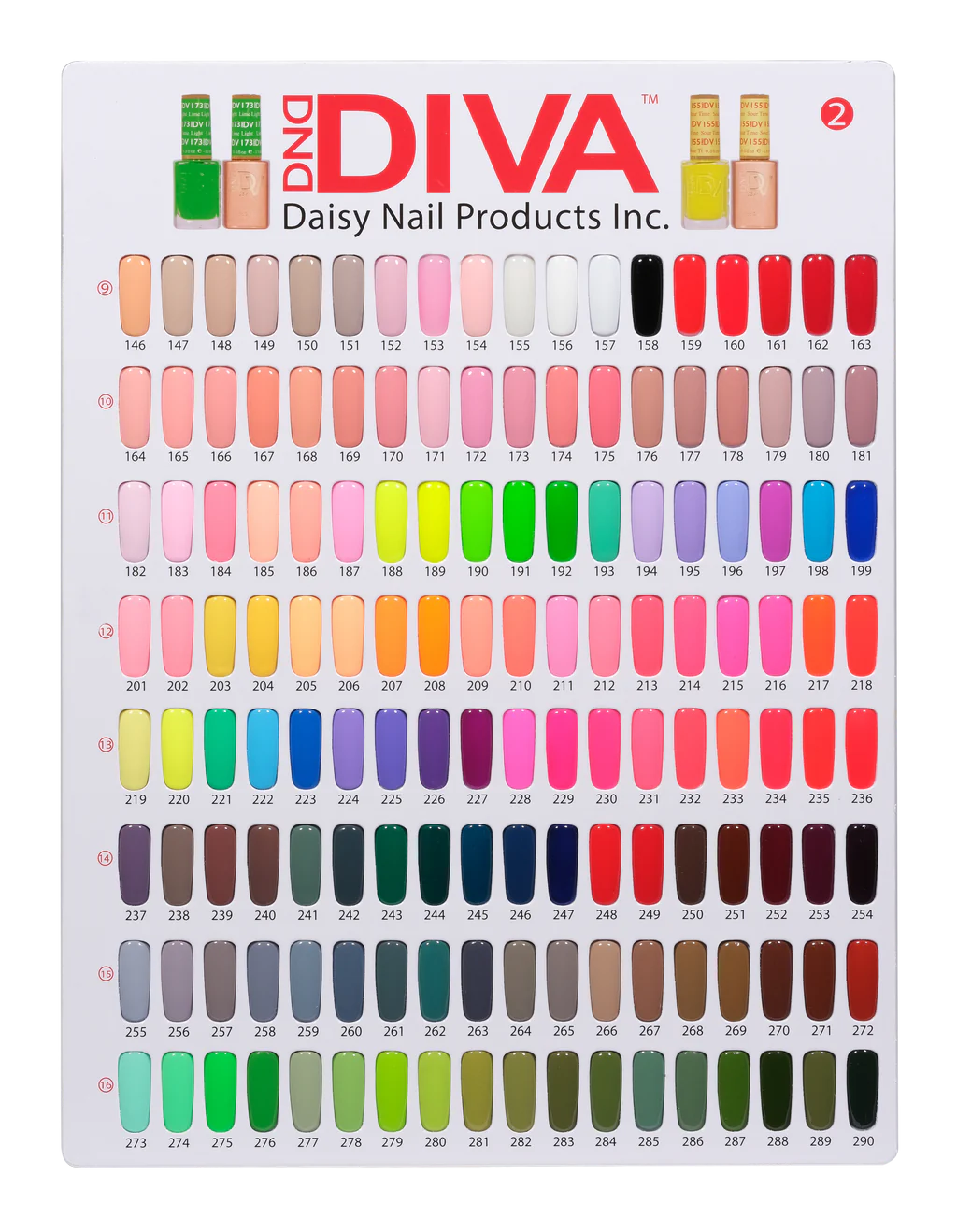 DND Diva Collection