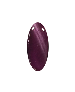 DC Gel Polish Cat Eyes Collection, 029, British Shorthair, 0.6oz