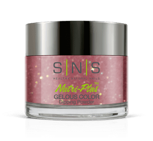 SNS Dipping Powder 1oz, WW 13 – SECRET SANTA