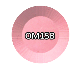 Chisel 2in1 Acrylic/Dipping Powder Ombré, OM15B, B Collection, 2oz