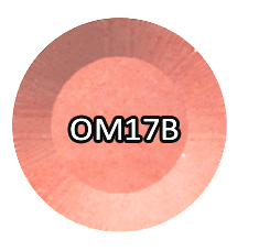 Chisel 2in1 Acrylic/Dipping Powder Ombré, OM17B, B Collection, 2oz